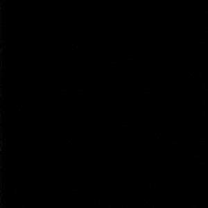 Meet your Posher, Shannelle